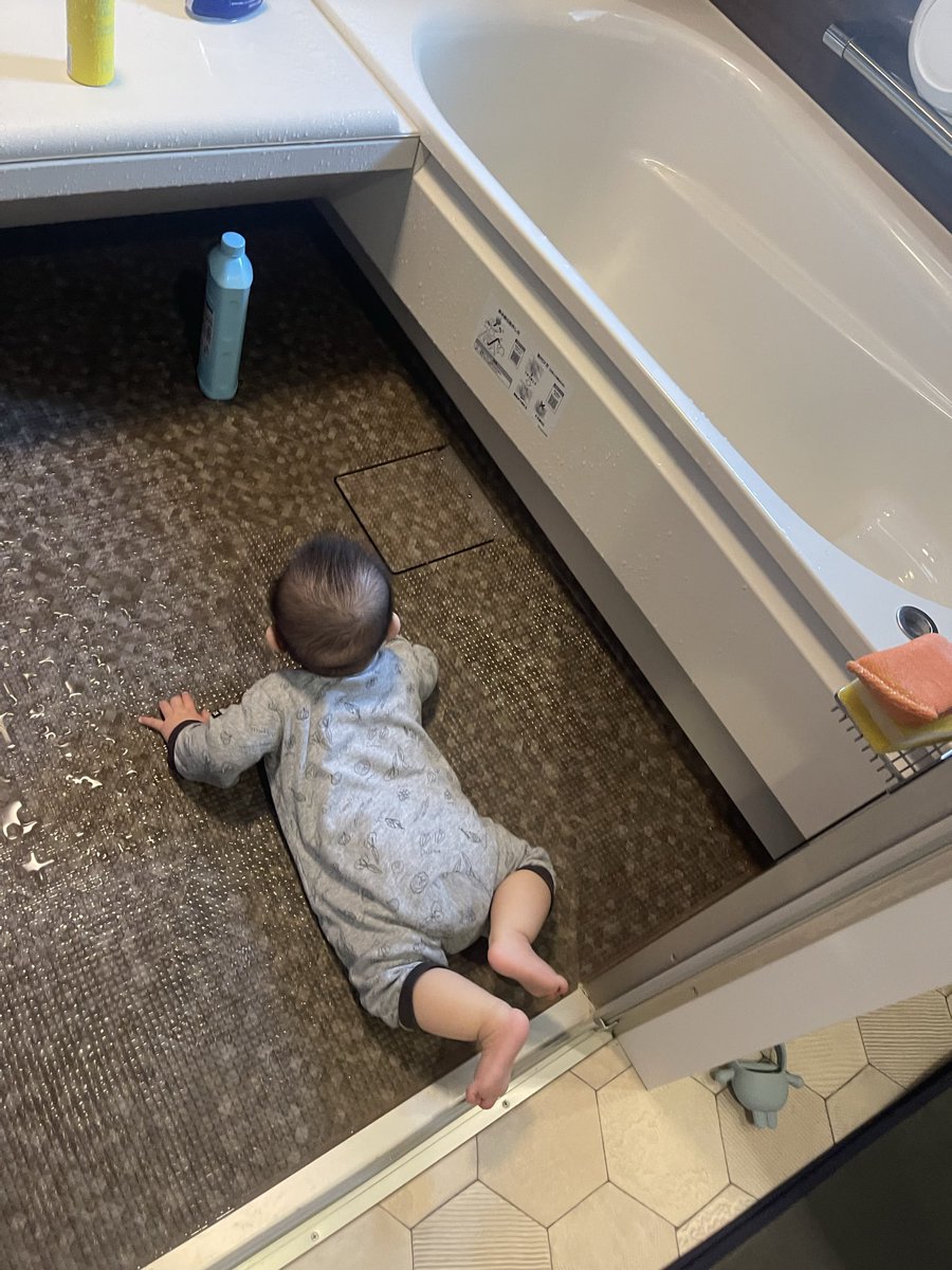 少し目を離すとこれ