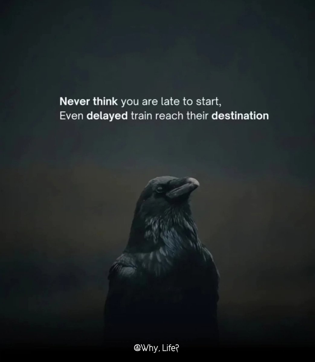 Erick || Web3 Explainer. tweet media