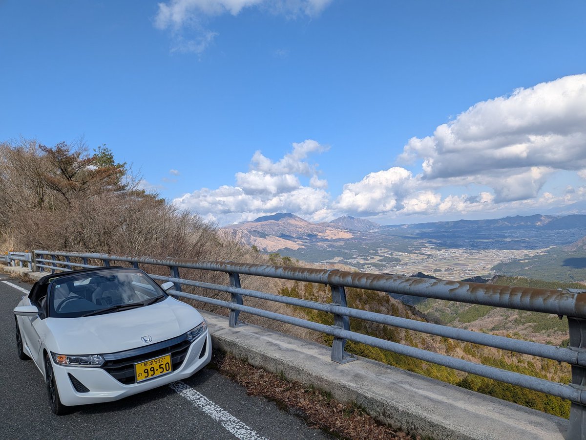 モレリア tweet media