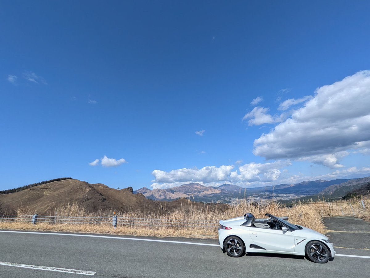 モレリア tweet media