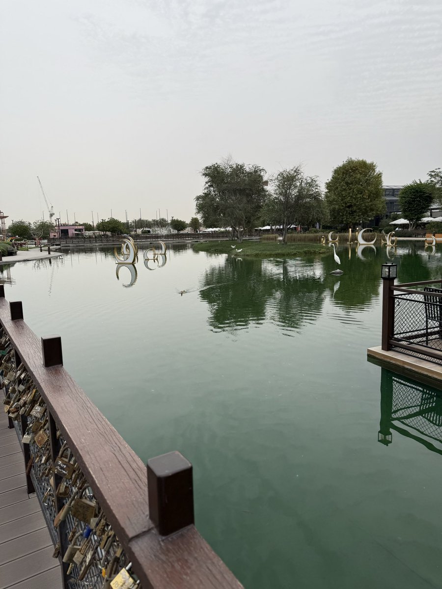 أحمد. tweet media