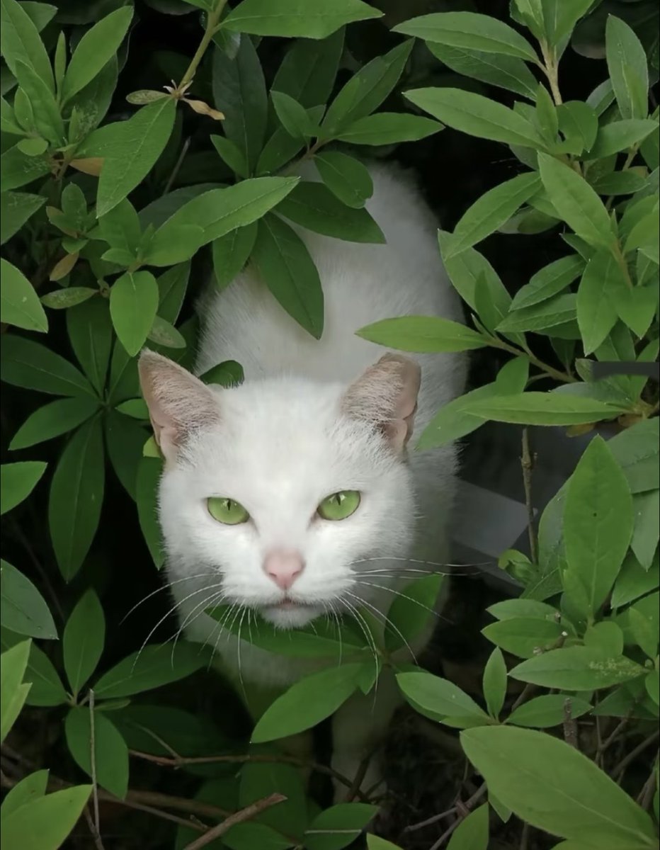 Kathleen tweet media