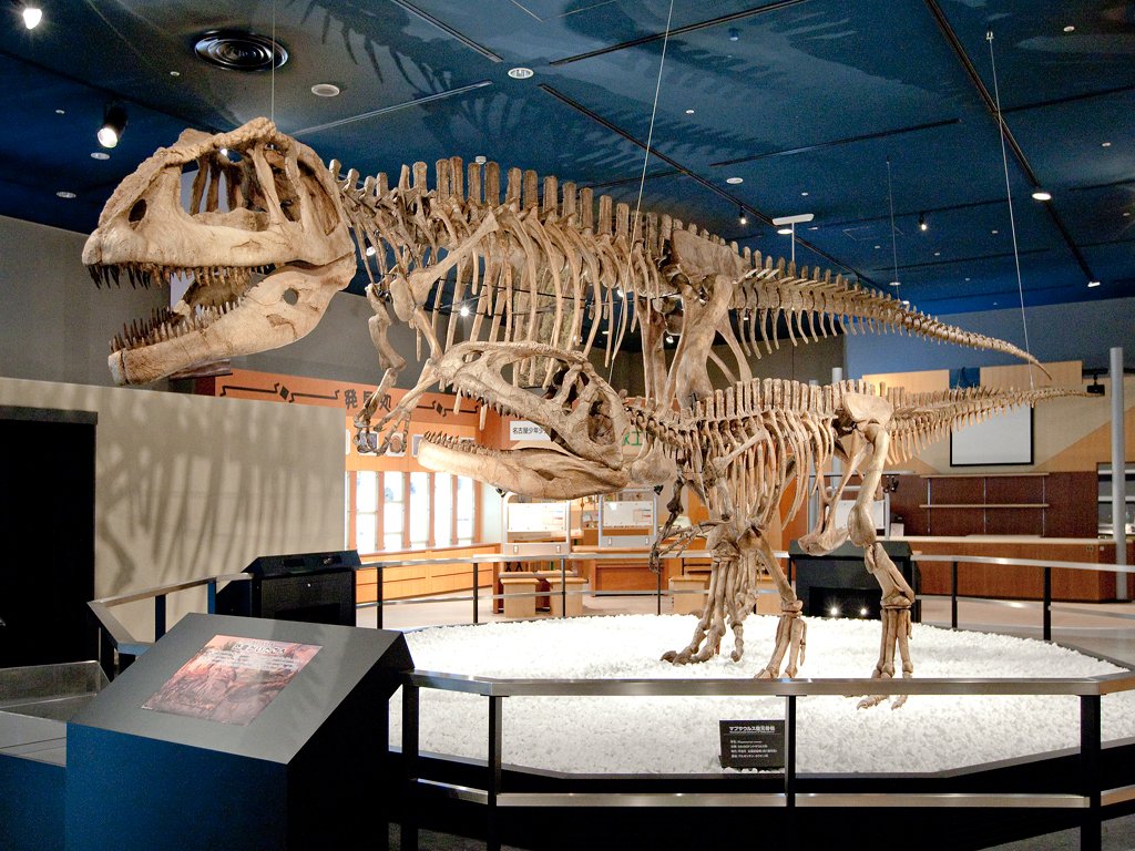 【公式】ＦＵＪＩなごや科学館 tweet media