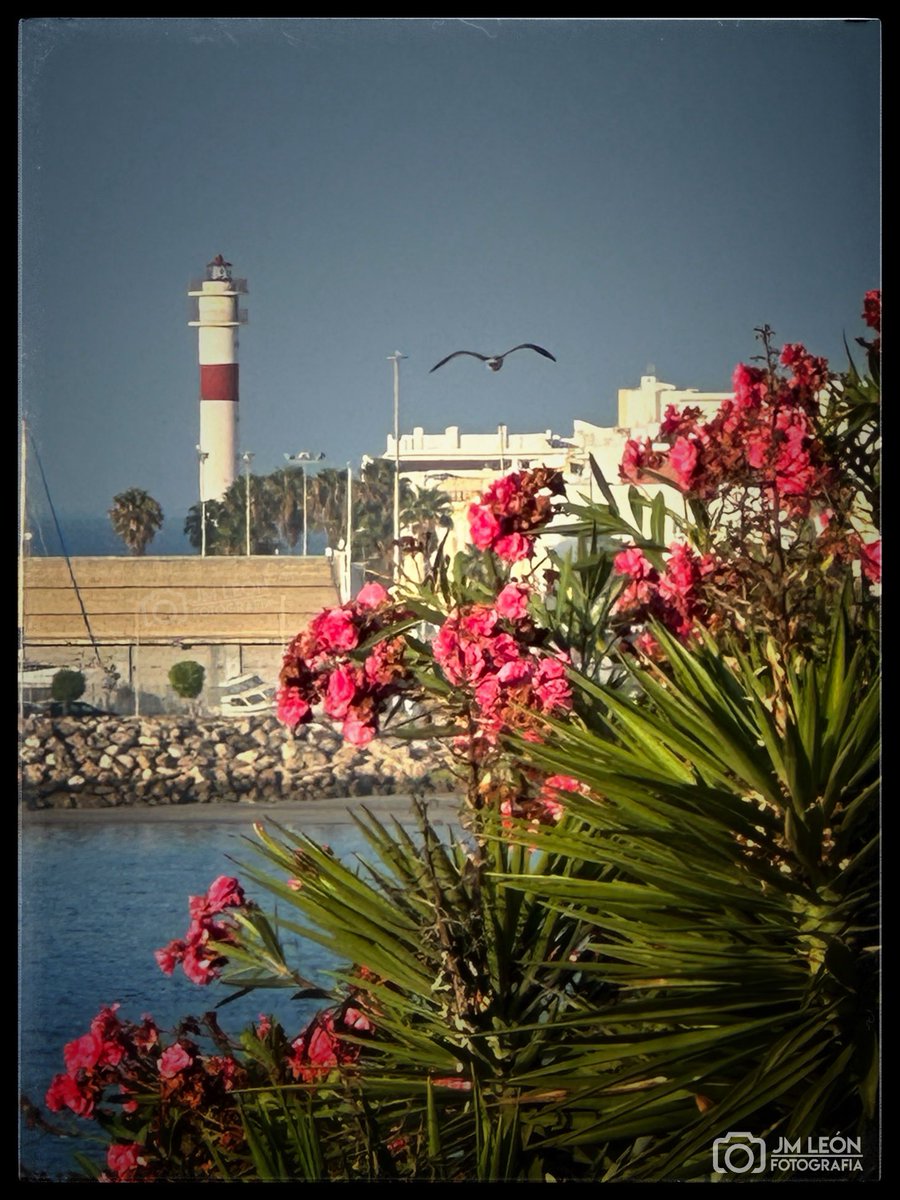 José Manuel León tweet media