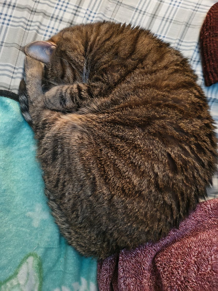 Keurig Coffee Girl tweet media