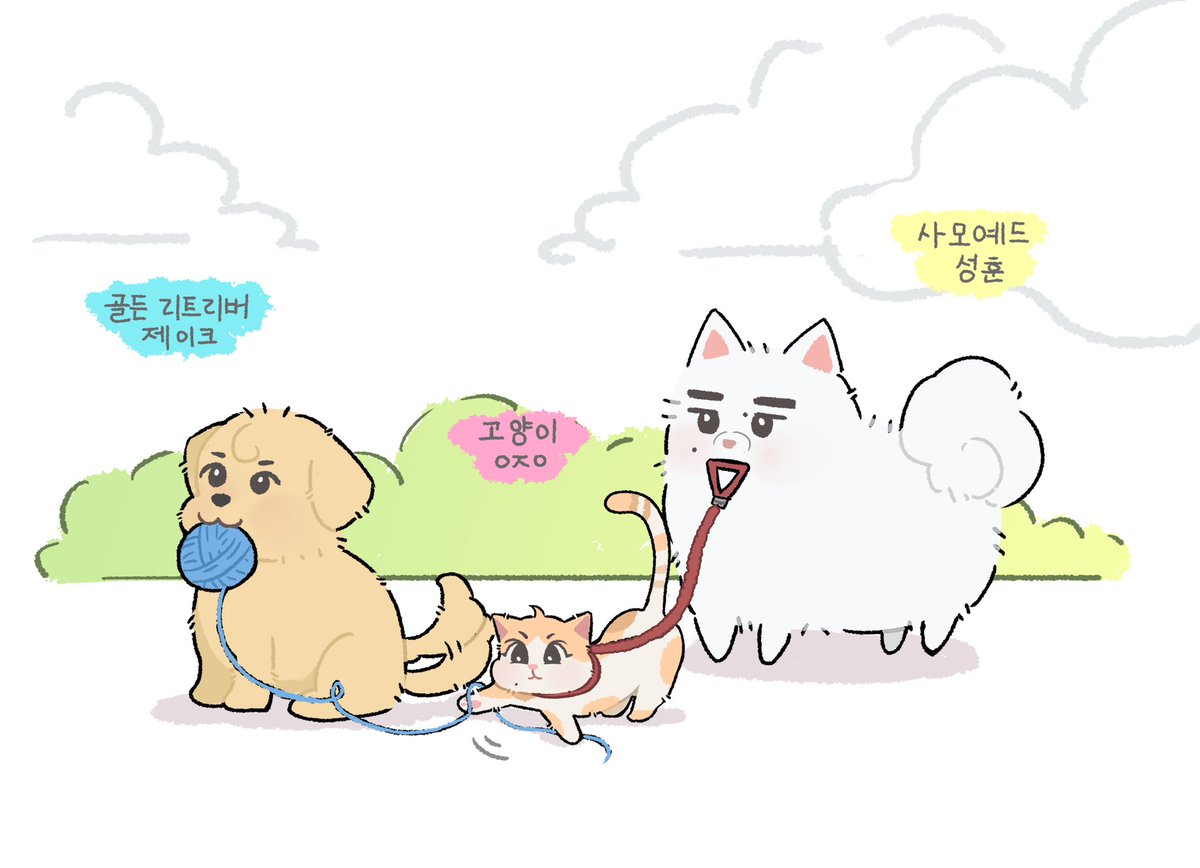 兔美元 tweet media