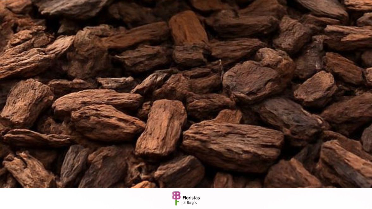 Fiesta de las Flores tweet media