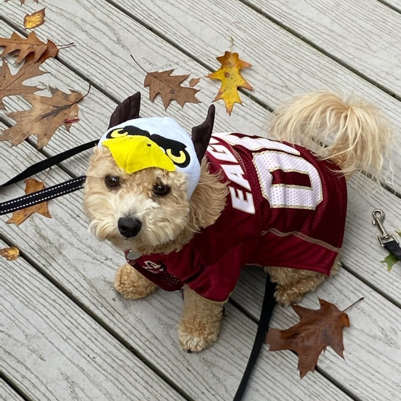 Boston College tweet media