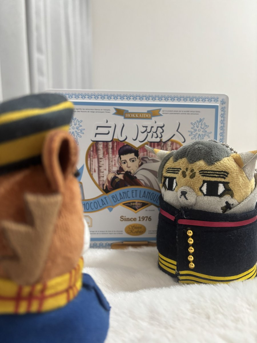 はちべえ (@hachacos) on Twitter photo 