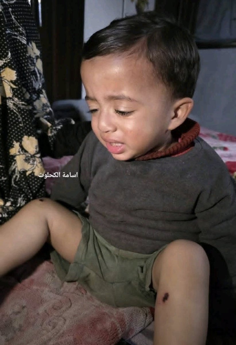 Ghali ⵣ 𓂆🍉🗝️🇵🇸 tweet media