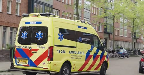 Dolly van den Berg tweet media