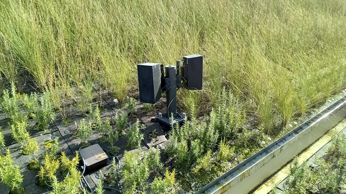 yosshiyy tweet media