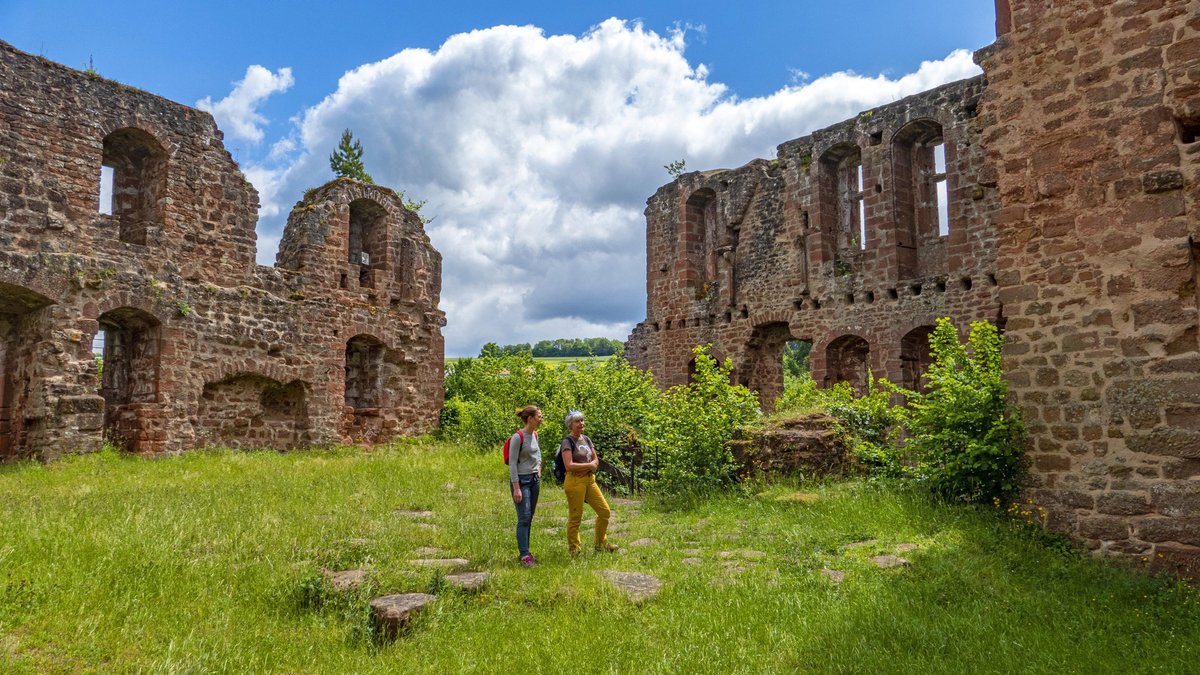 Manlet King ☩ tweet media