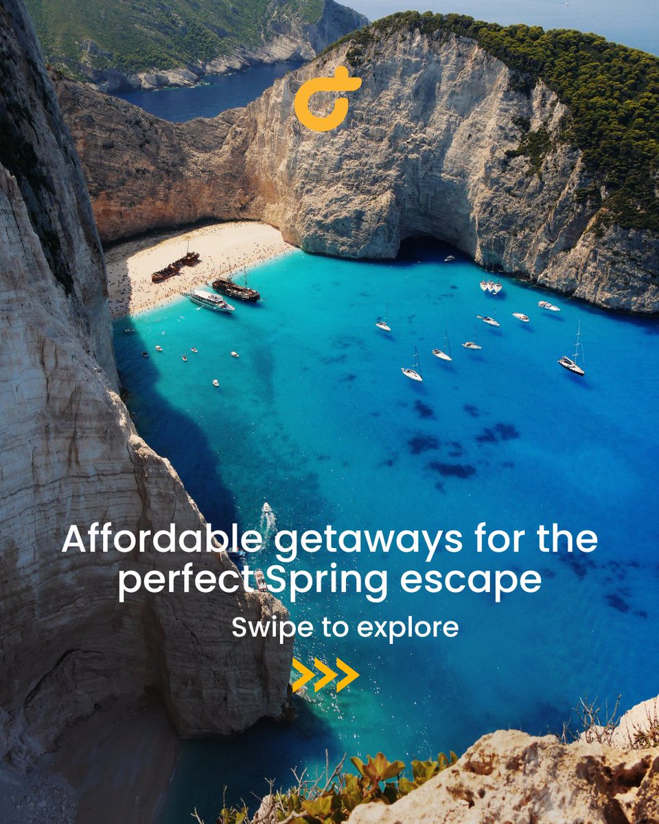 OneTravel tweet media