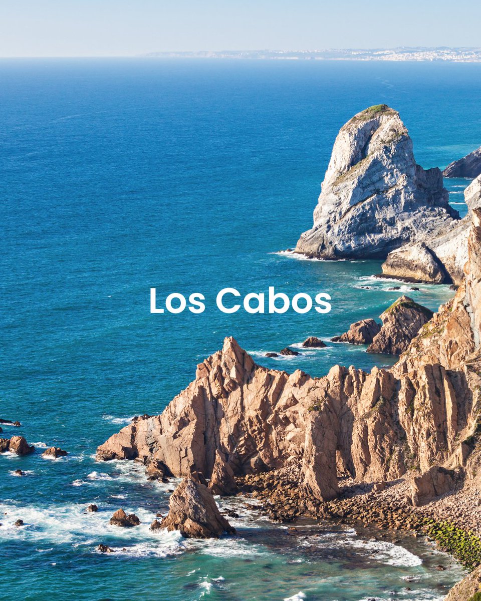 OneTravel tweet media