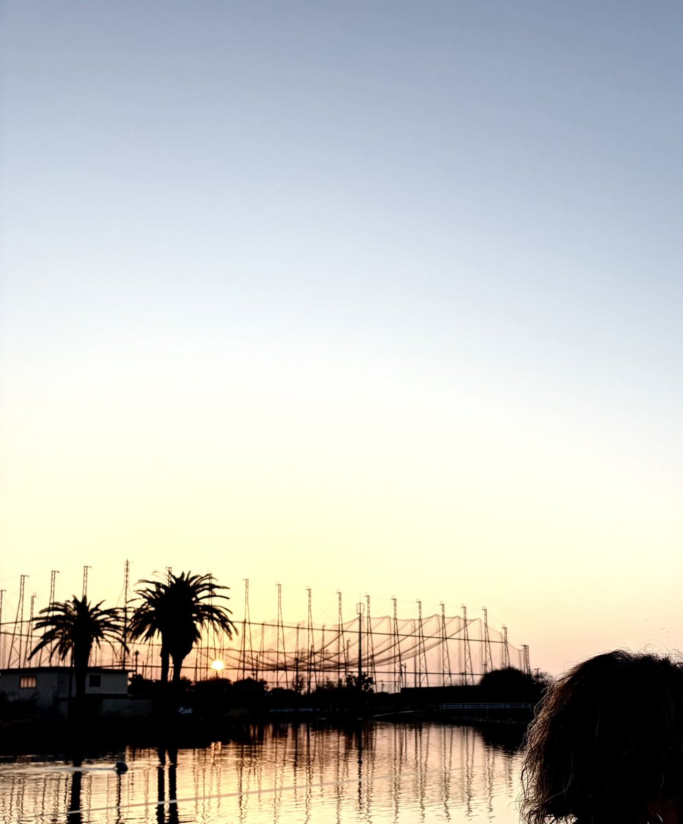 ウォンバット☺︎KRT tweet media