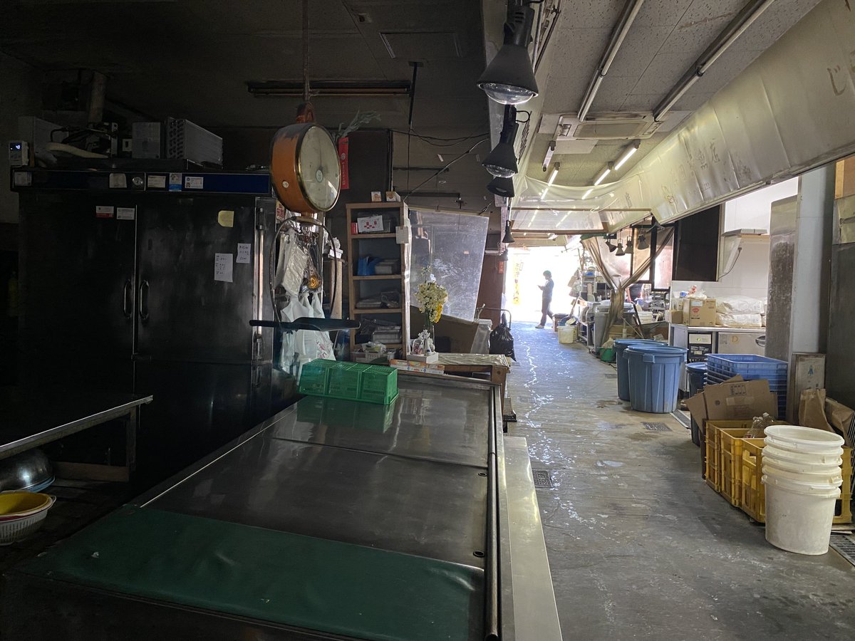 羽鳥写真館 tweet media