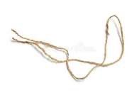 Rave.Fitz tweet media