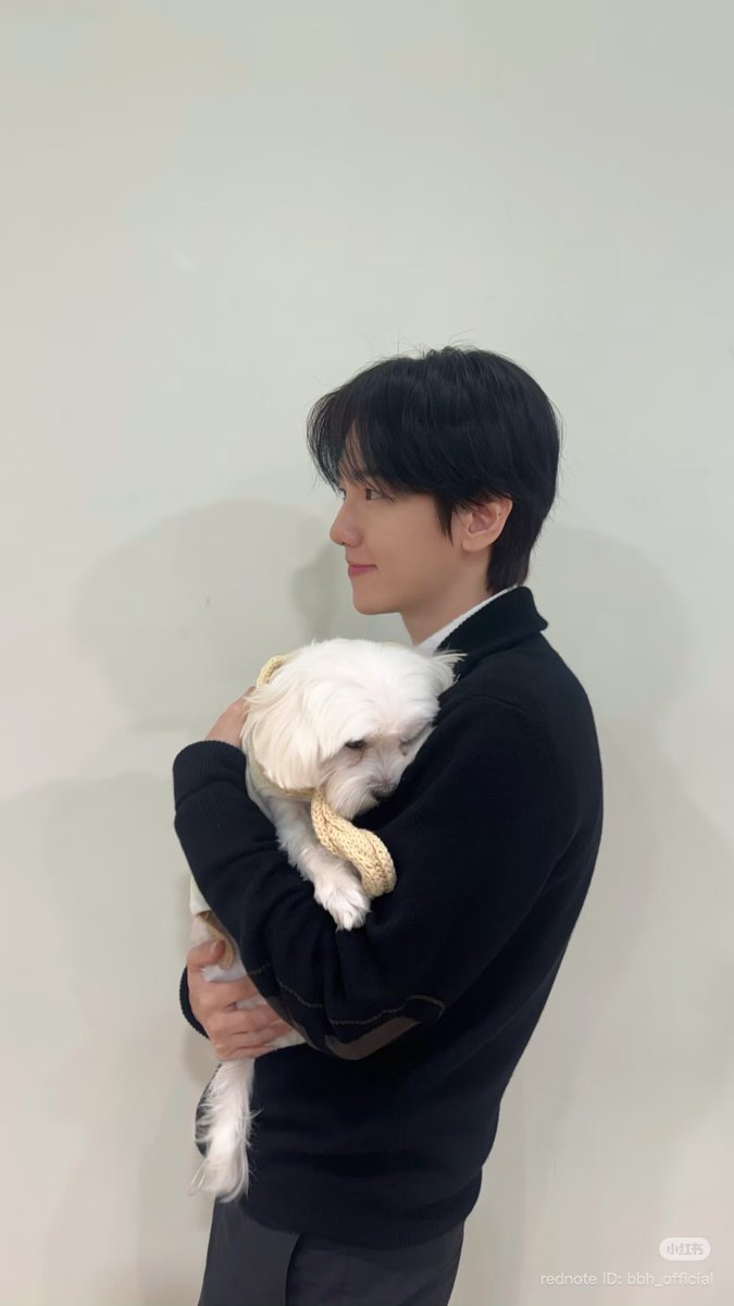 BAEKHYUN WORLD tweet media