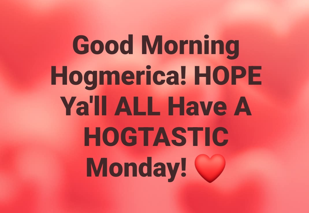 Mike Cormack tweet media