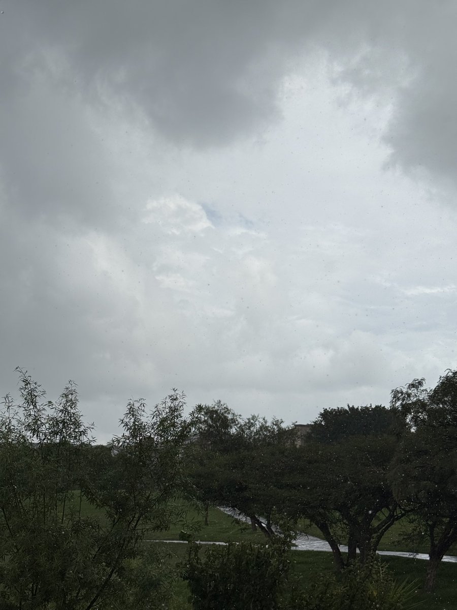 Gm ❤️  
It's a rainy Monday.