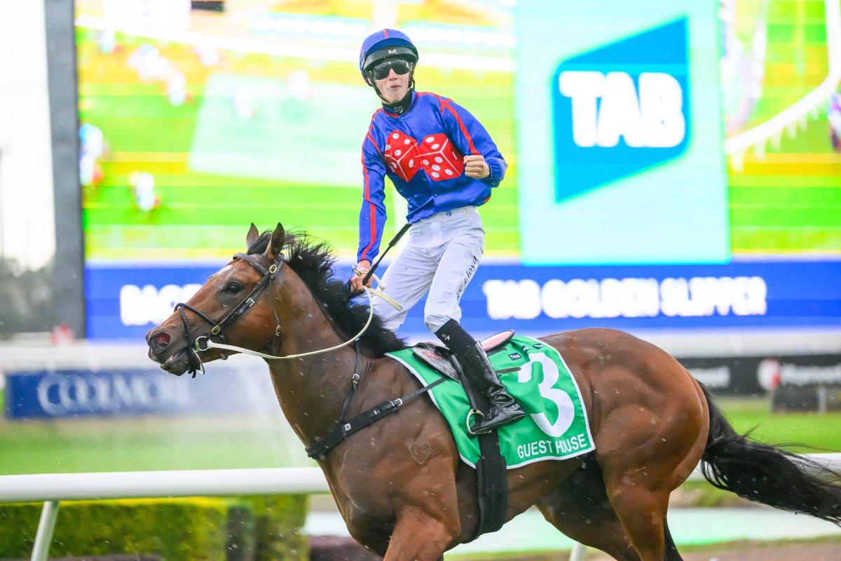 Nick Luck tweet media