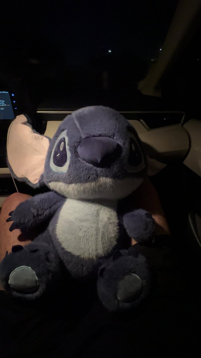 ⚡️🪂 tweet media