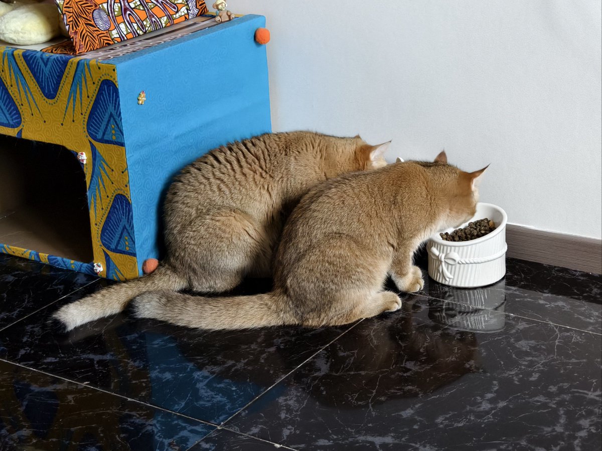 Edward J Bock tweet media