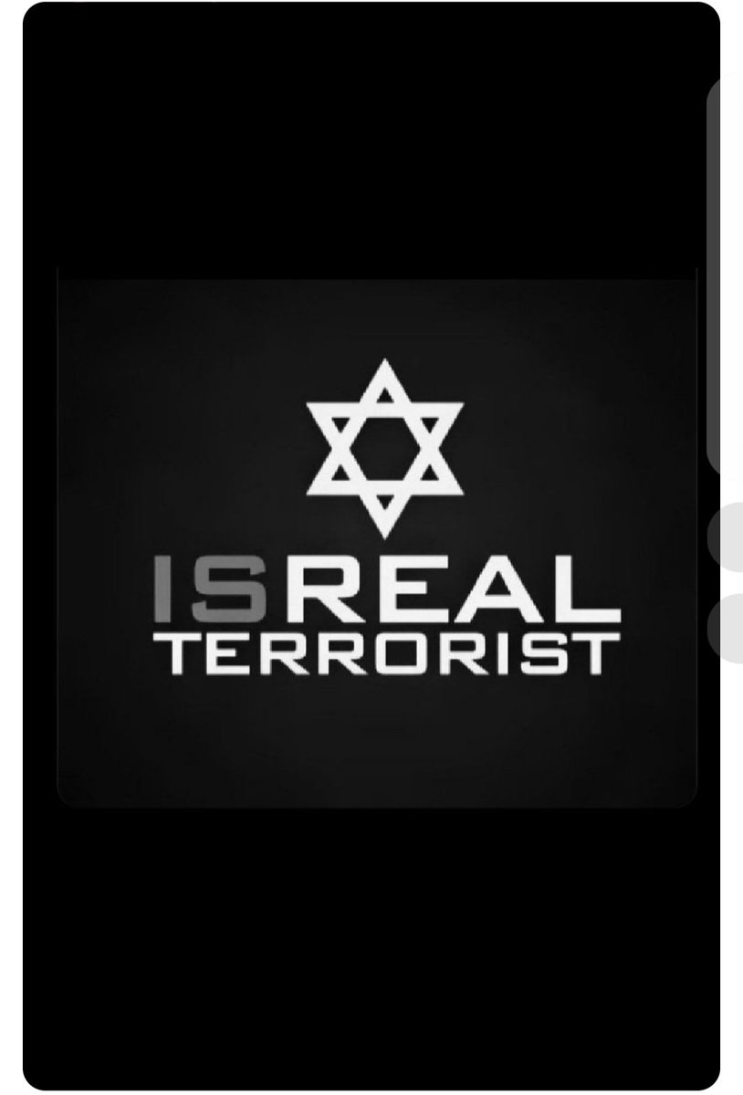 MUSTAFA YILDIRIM tweet media