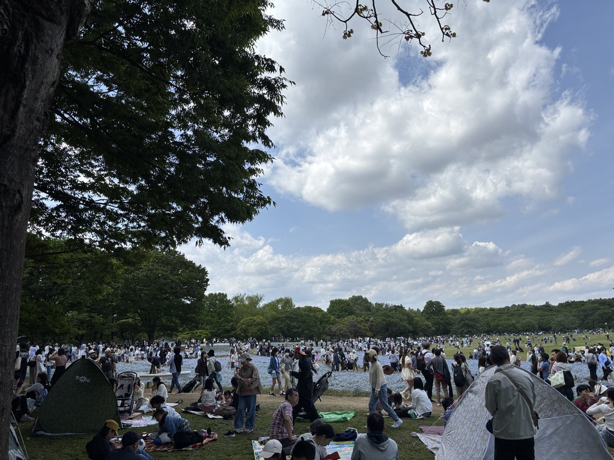 ash(あさひ)📷 tweet media