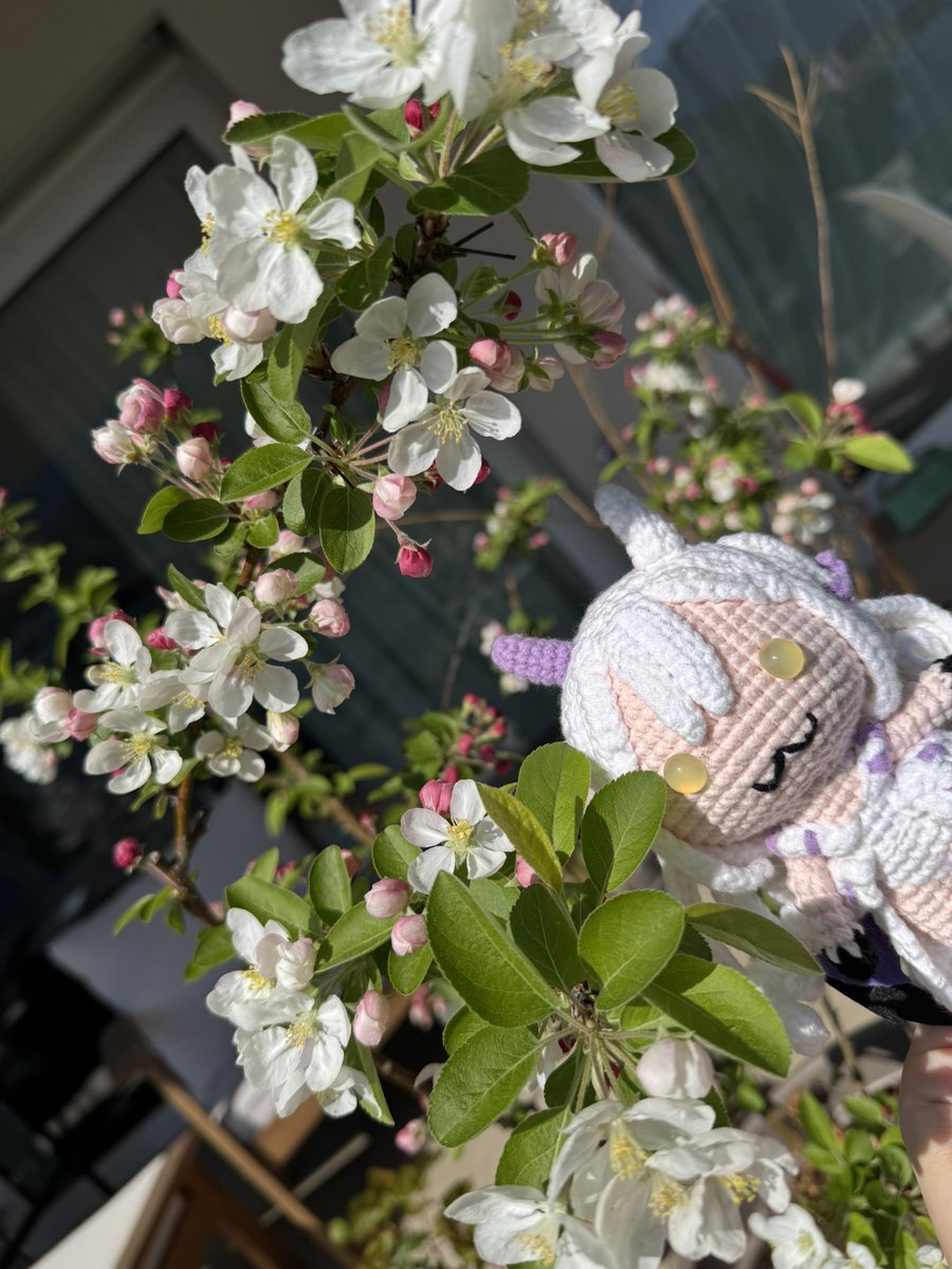 Bai || GOAT • ヤギ Vtuber 🦷 tweet media