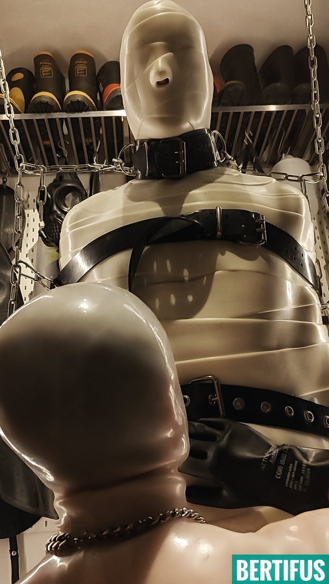 bertifus🔜 04Korea, 05Berlin,06Paris tweet media