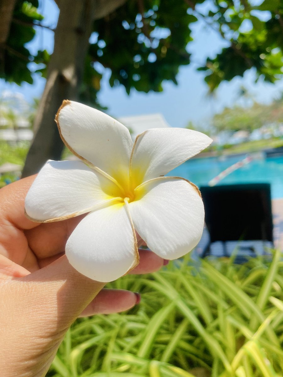 C_&_P couple tweet media