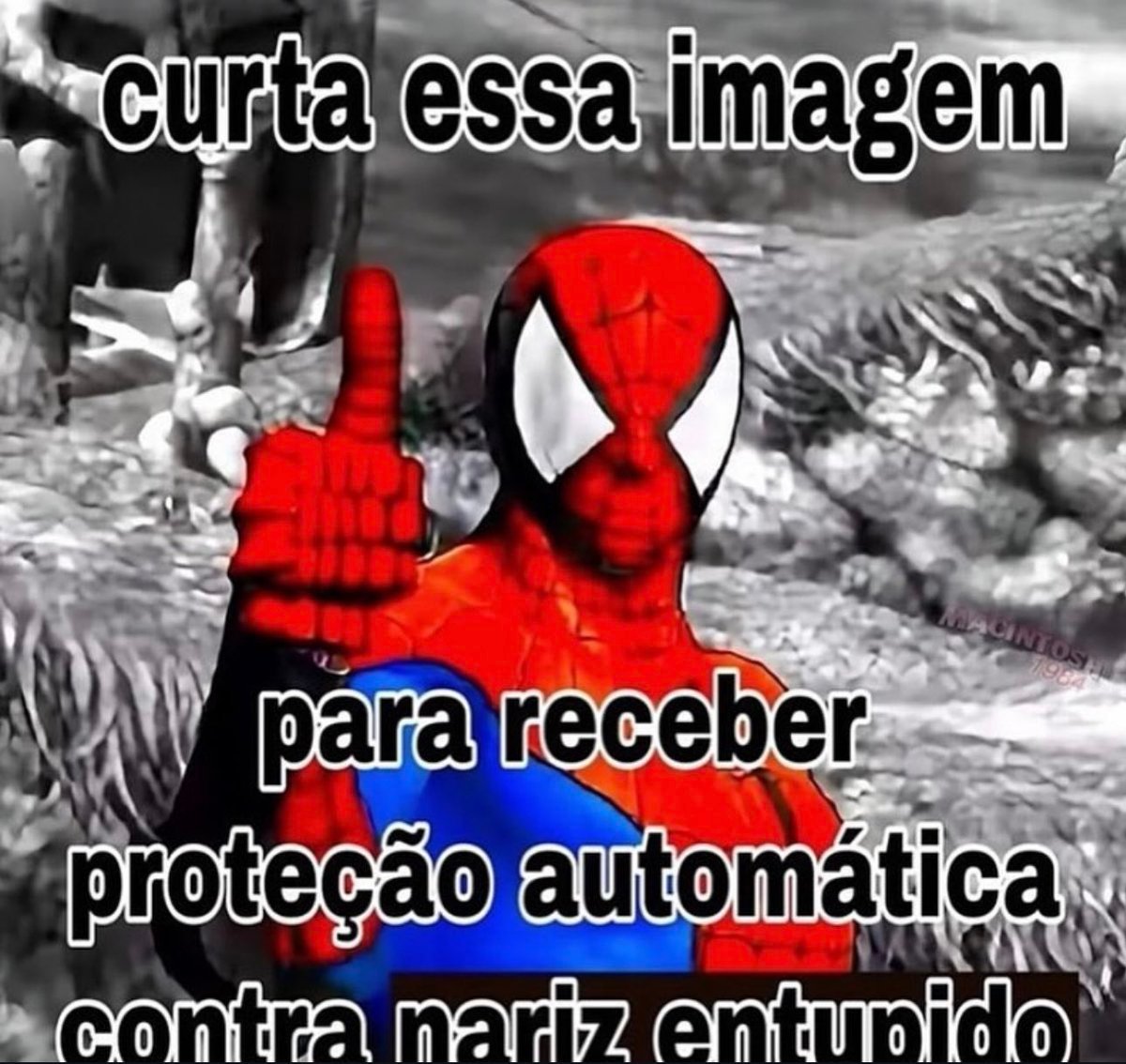 Traficante de Memes tweet media