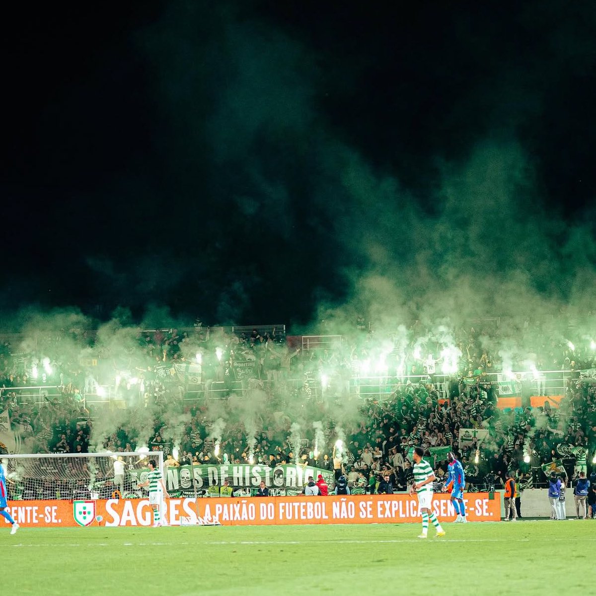 Sporting CP Adeptos 🏆🏆 tweet media