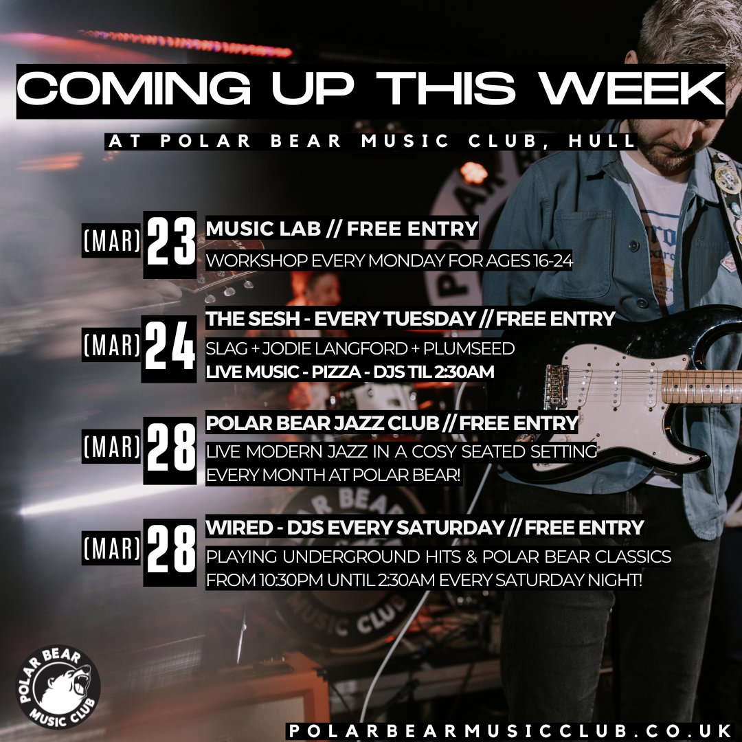 Polar Bear Music Club tweet media