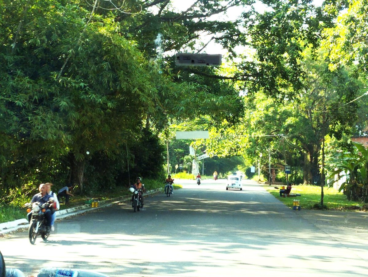 Mario Buffone tweet media