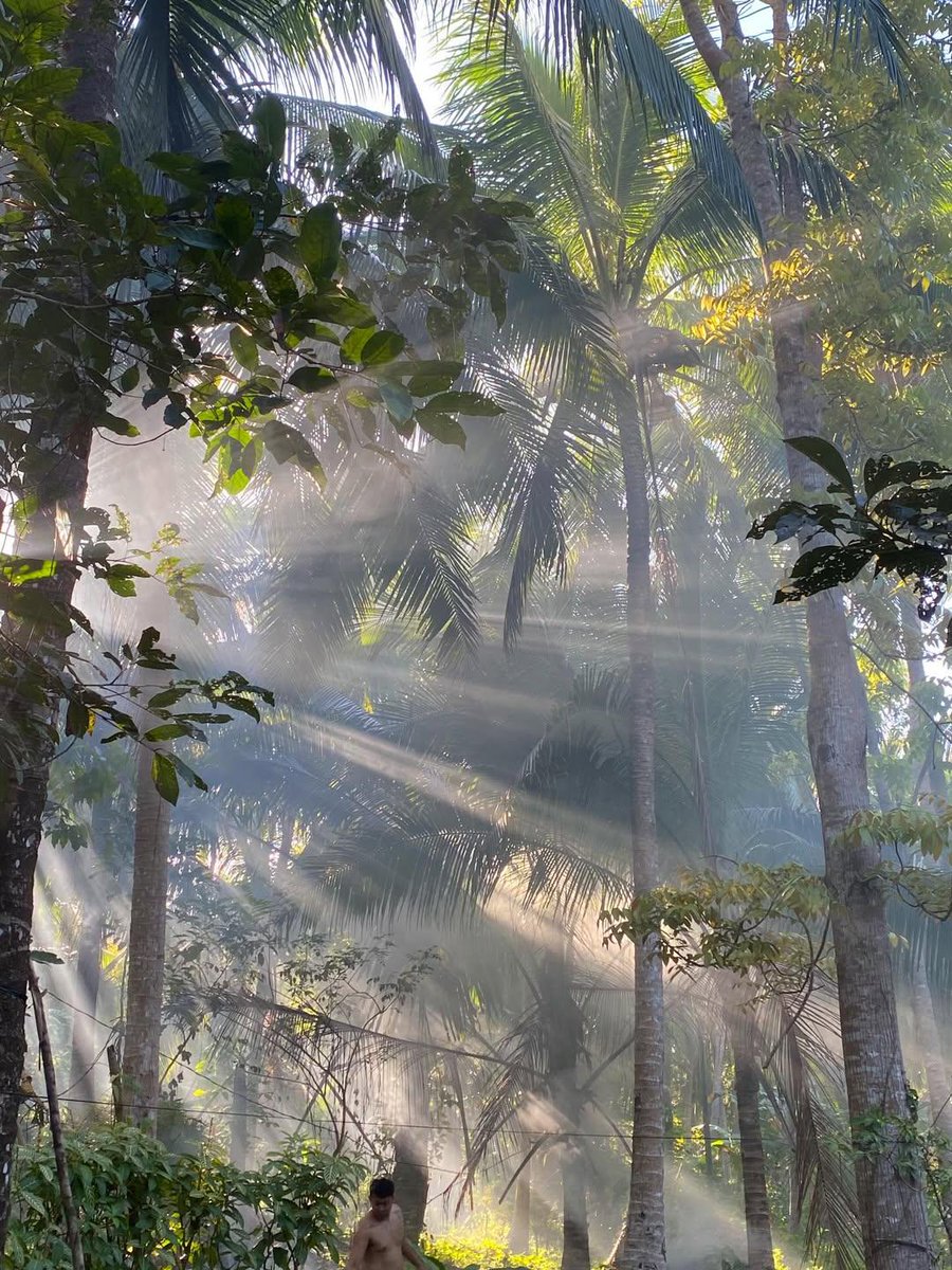 𝑺𝒆𝒓𝒆𝒏𝒍𝒚 tweet media