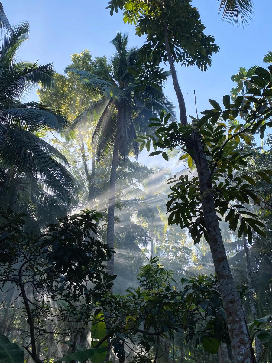 𝑺𝒆𝒓𝒆𝒏𝒍𝒚 tweet media