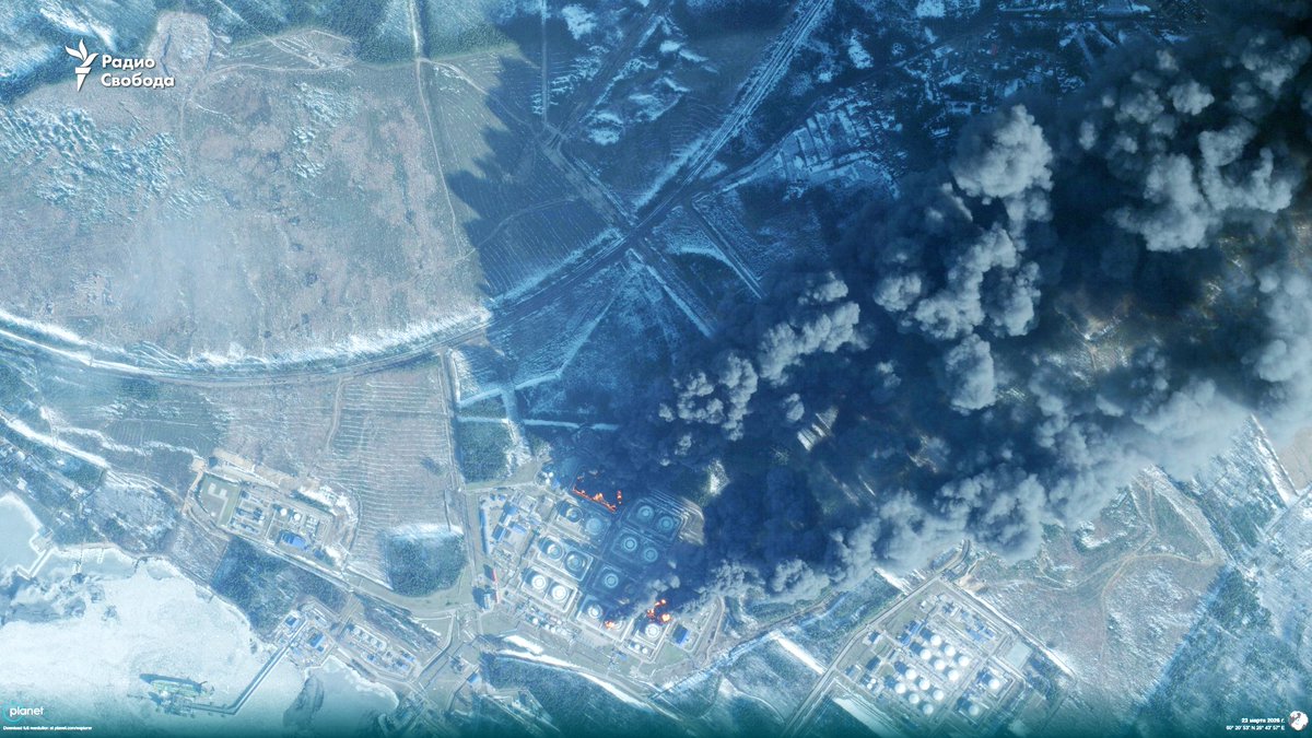 Mark Krutov tweet media