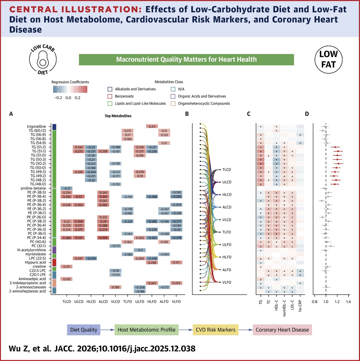 IllinoisACC's tweet image. Low-carb vs low-fat? New #JACC study suggests diet quality may matter more than macro amounts for lower heart disease risk. 🫀🥗
Journal scan: bit.ly/4rfLCE8

What’s the best first move toward higher-quality eating?

#cvPrev #HeartHealth #Cardiology