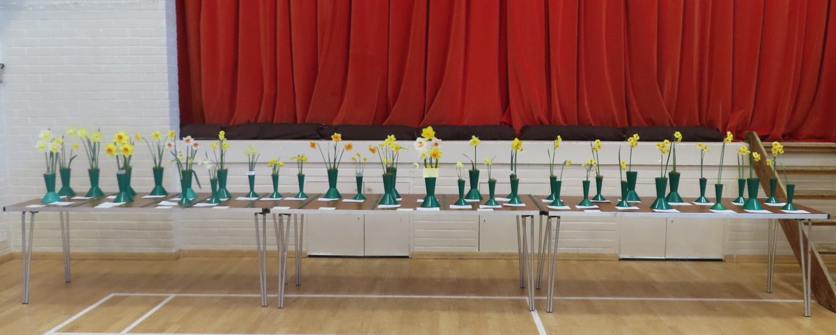 We were delighted to see so many new entrants at the Spring Show on Saturday. There were 103 entries from 22 people - an excellent number. Thank you everyone who helped to make the show so successful. Our next show is on Saturday 20th June at #Hadlow Village Hall.