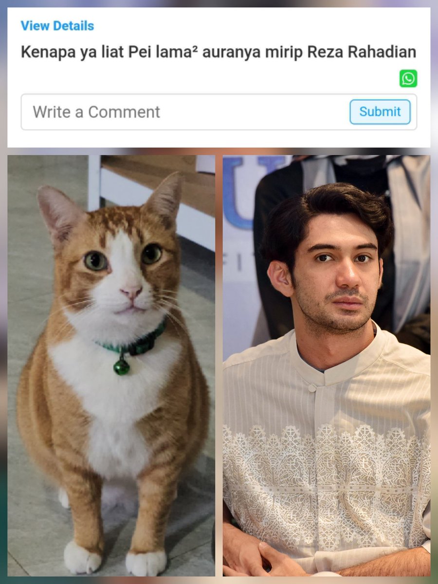 Coffee bae tweet media