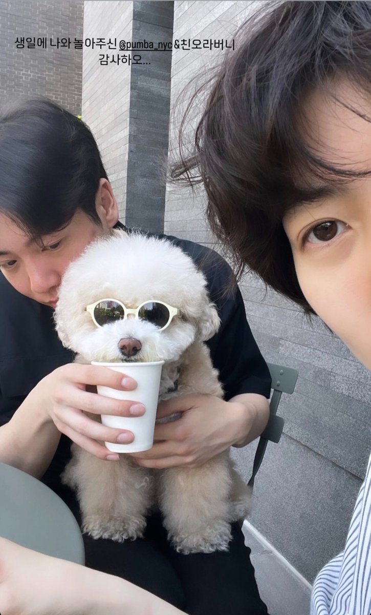 김빵순 tweet media