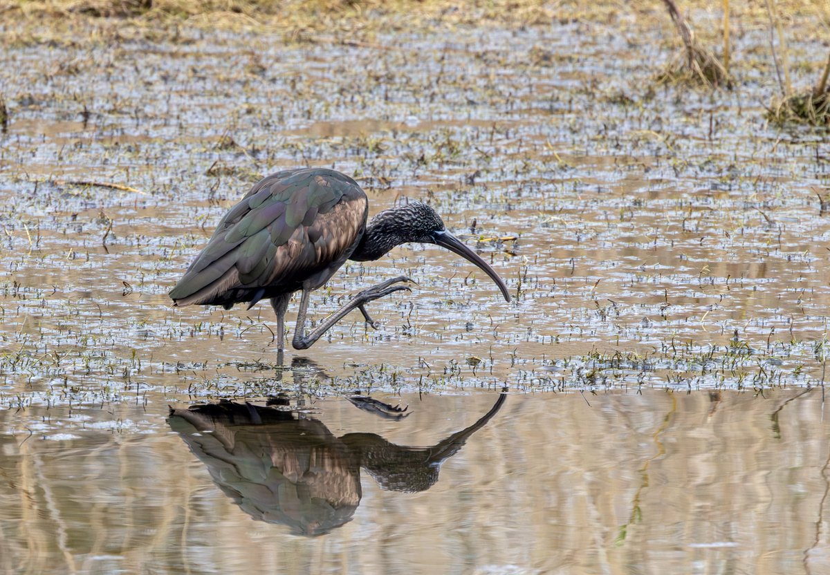 Peter Cox tweet media