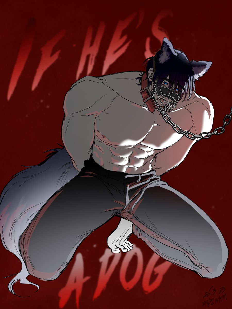 내필명 tweet media