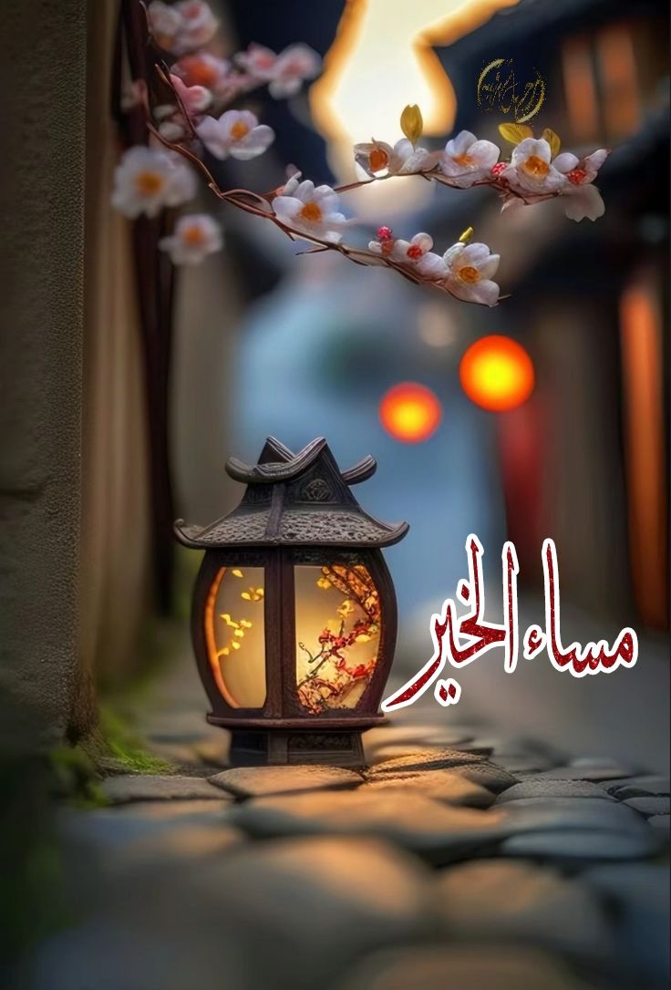 عبدالرزاق العريمي tweet media