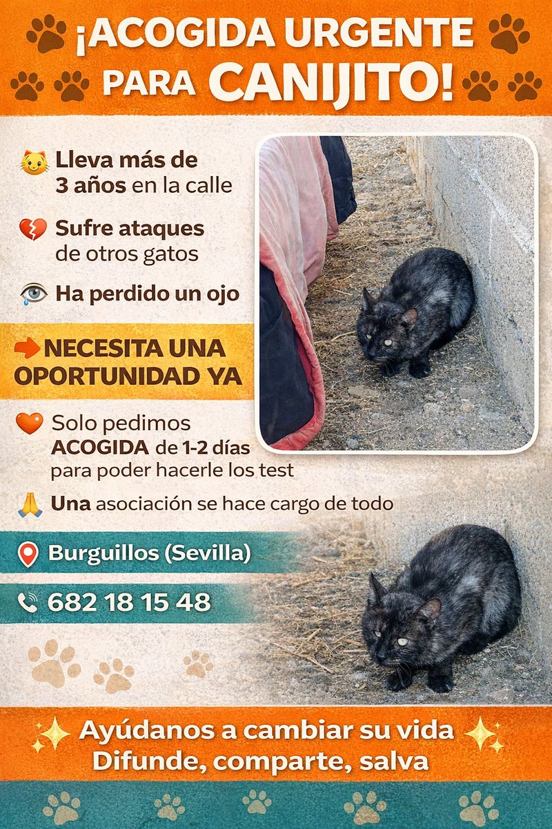 JOHN DOE tweet media