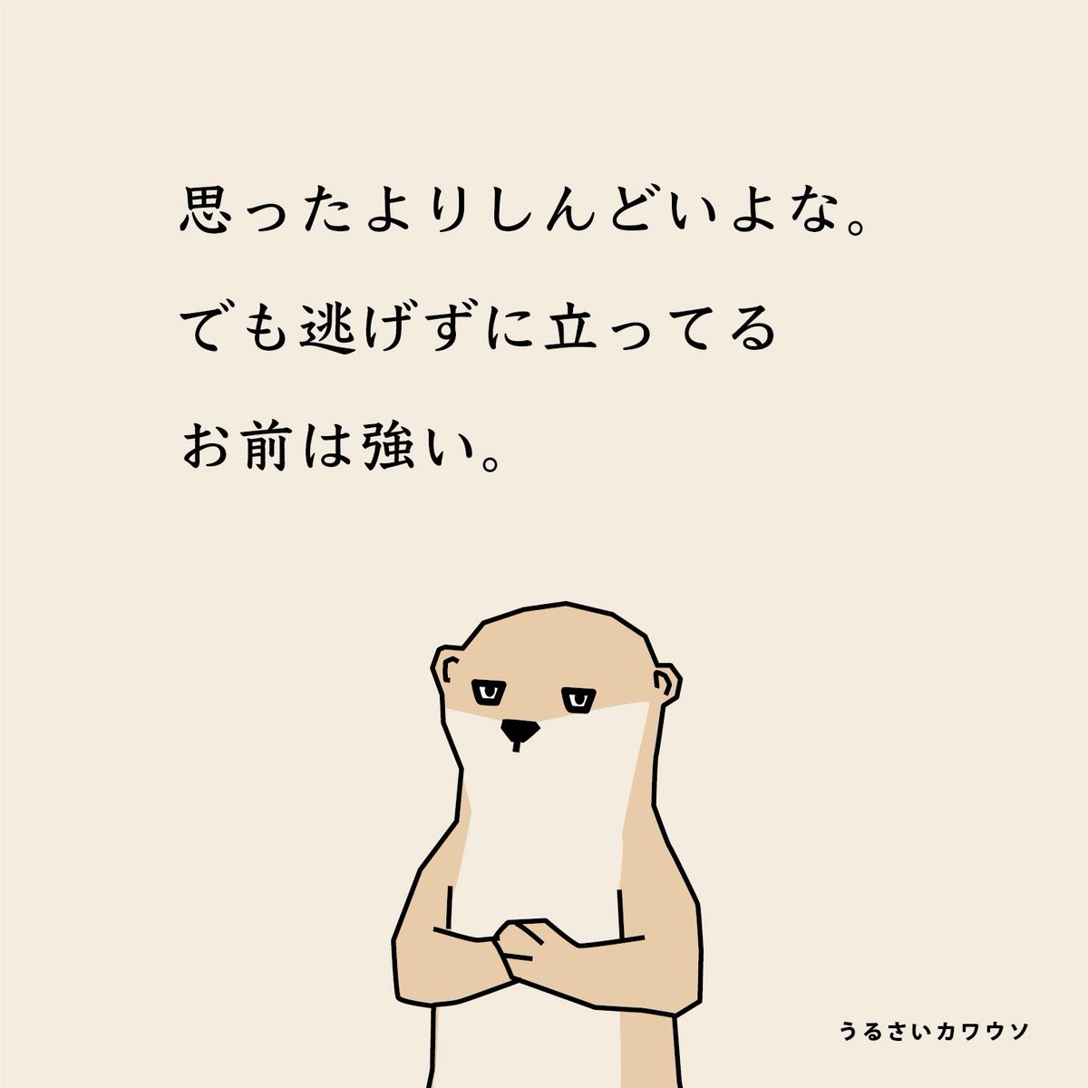 うるさいカワウソ tweet media
