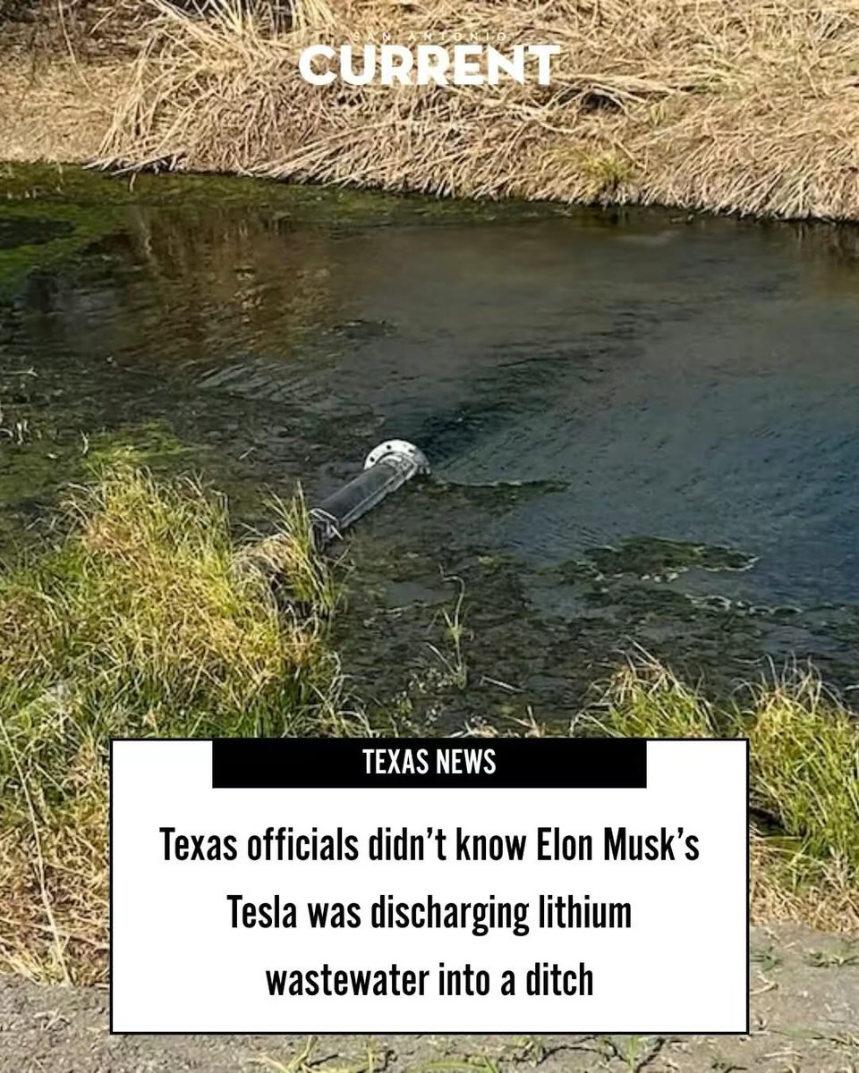 MAGA Cult Slayer🦅🇺🇸 tweet media